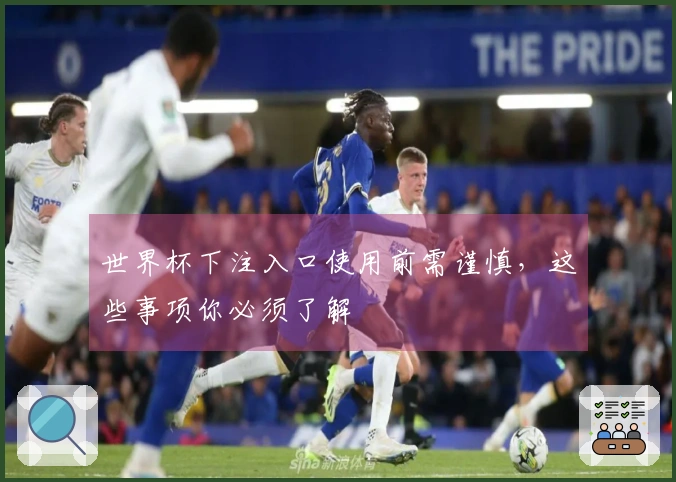 世界杯下注入口使用前需谨慎，这些事项你必须了解